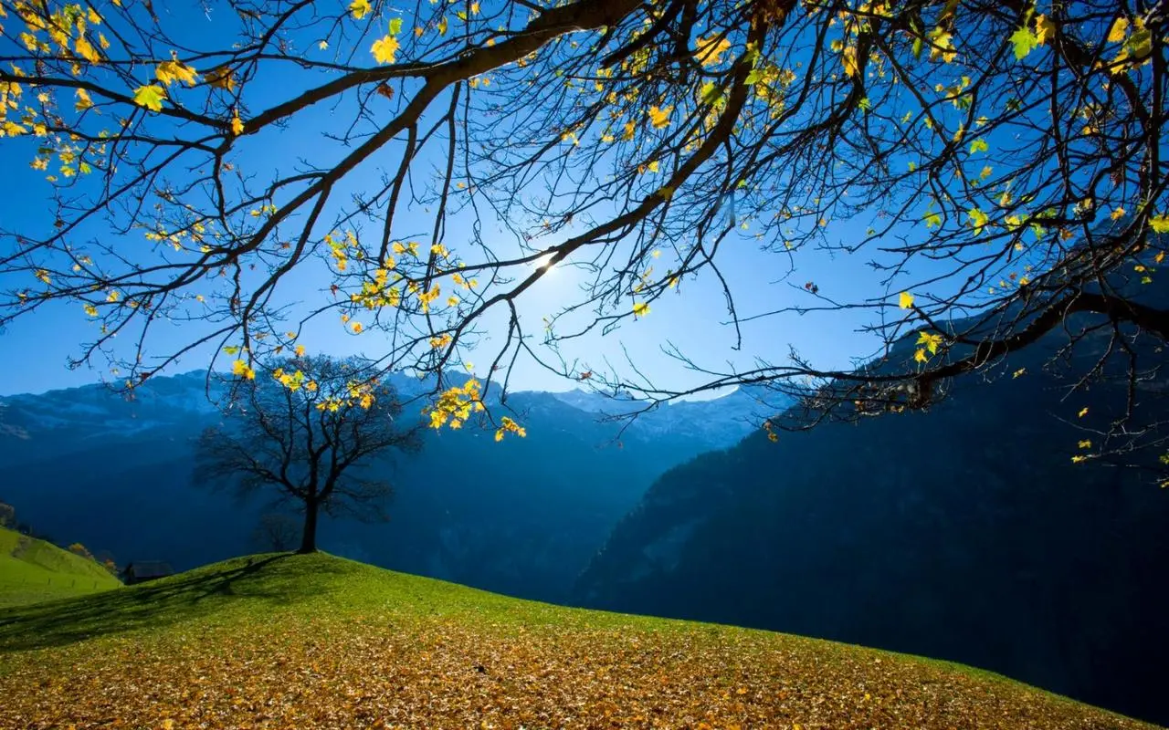 智能系统创新创意