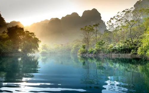 先进可靠性智能